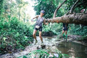 BIB: 
                            <button type="button" onclick="openModal(25433325)" class="btn btn-primary btn-sm float-right btn-popup" data-toggle="modal" data-target=".modal-high-quality">
                        <i class="fas fa-shopping-cart"></i> Add to Cart
                    </button>
                                            <button type="button" onclick="isThisMe(25433325, true)" class="btn btn-success btn-sm float-right btn-popup btn-isme hidden" data-toggle="tooltip" data-placement="bottom" title="นี่คือรูปของคุณใช่ไหม คลิกที่นี่เพื่อเอาเข้าอัลบั้ม">
                        <i class="fas fa-plus"></i> Add to album
                    </button>
                    <button type="button" onclick="isThisMe(25433325, false)" class="btn btn-warning btn-sm float-right btn-popup btn-isnotme hidden">
                        <i class="fas fa-ban"></i> Remove from album
                    </button>